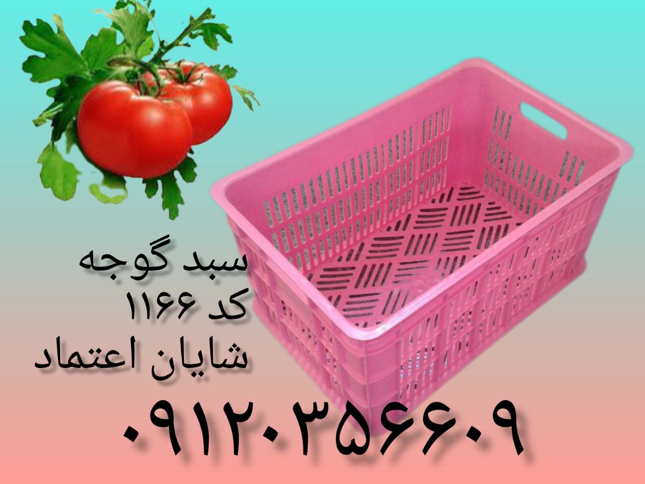 msg-10012867812-54