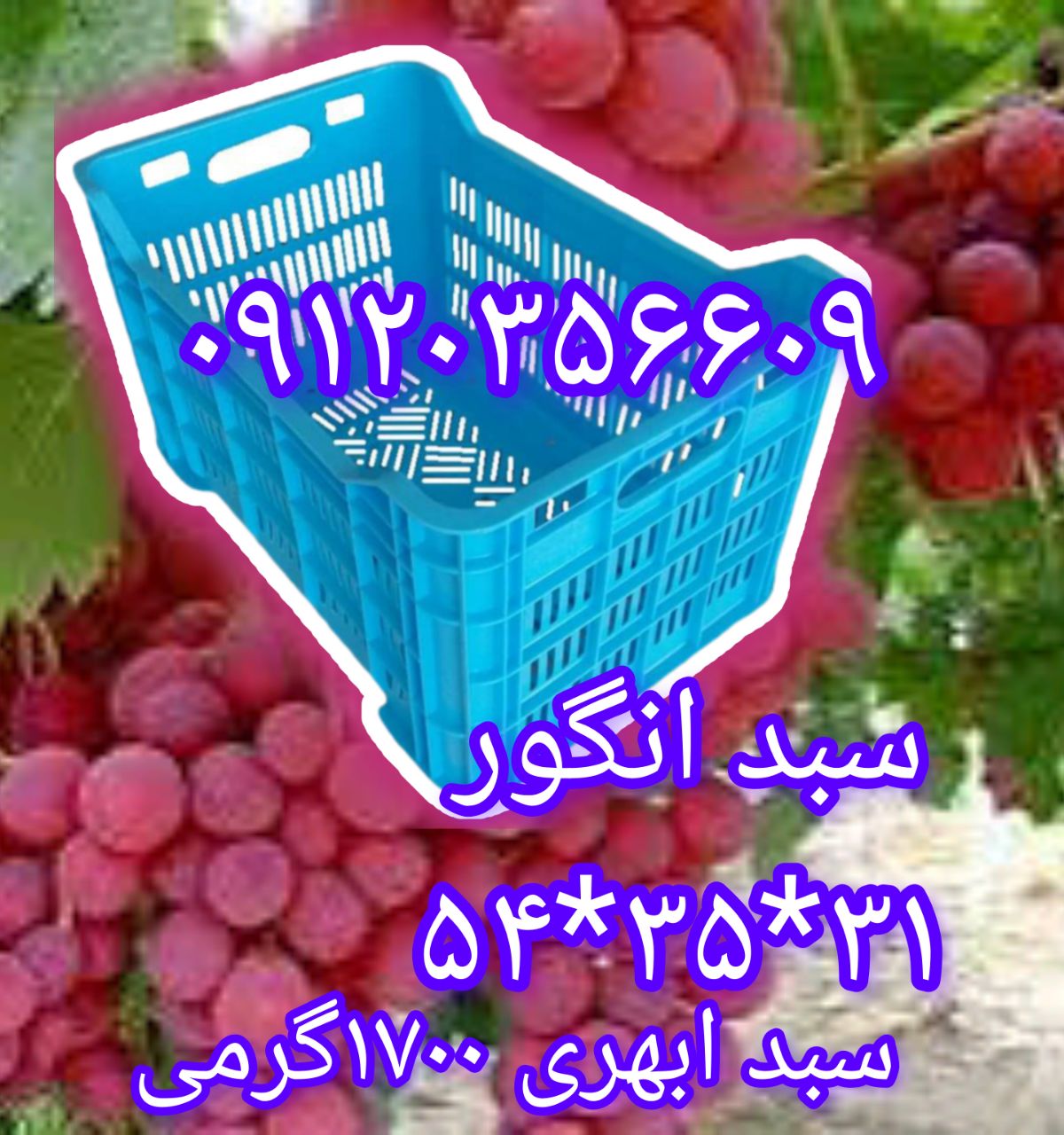 msg-10012867812-52 (4)