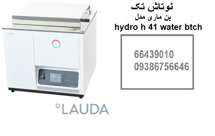 بن ماری نوتاش