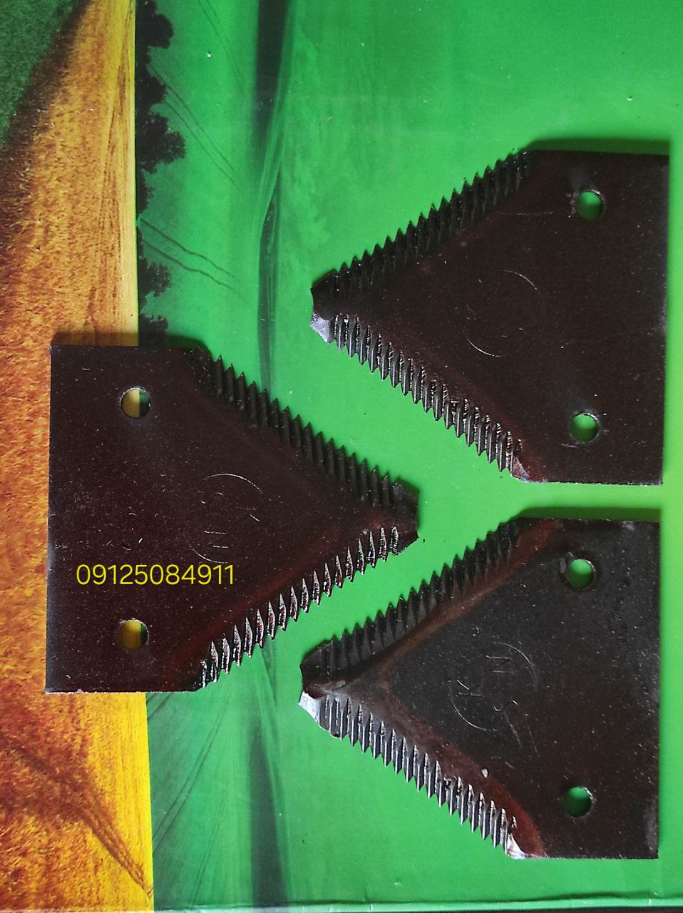 1000090806