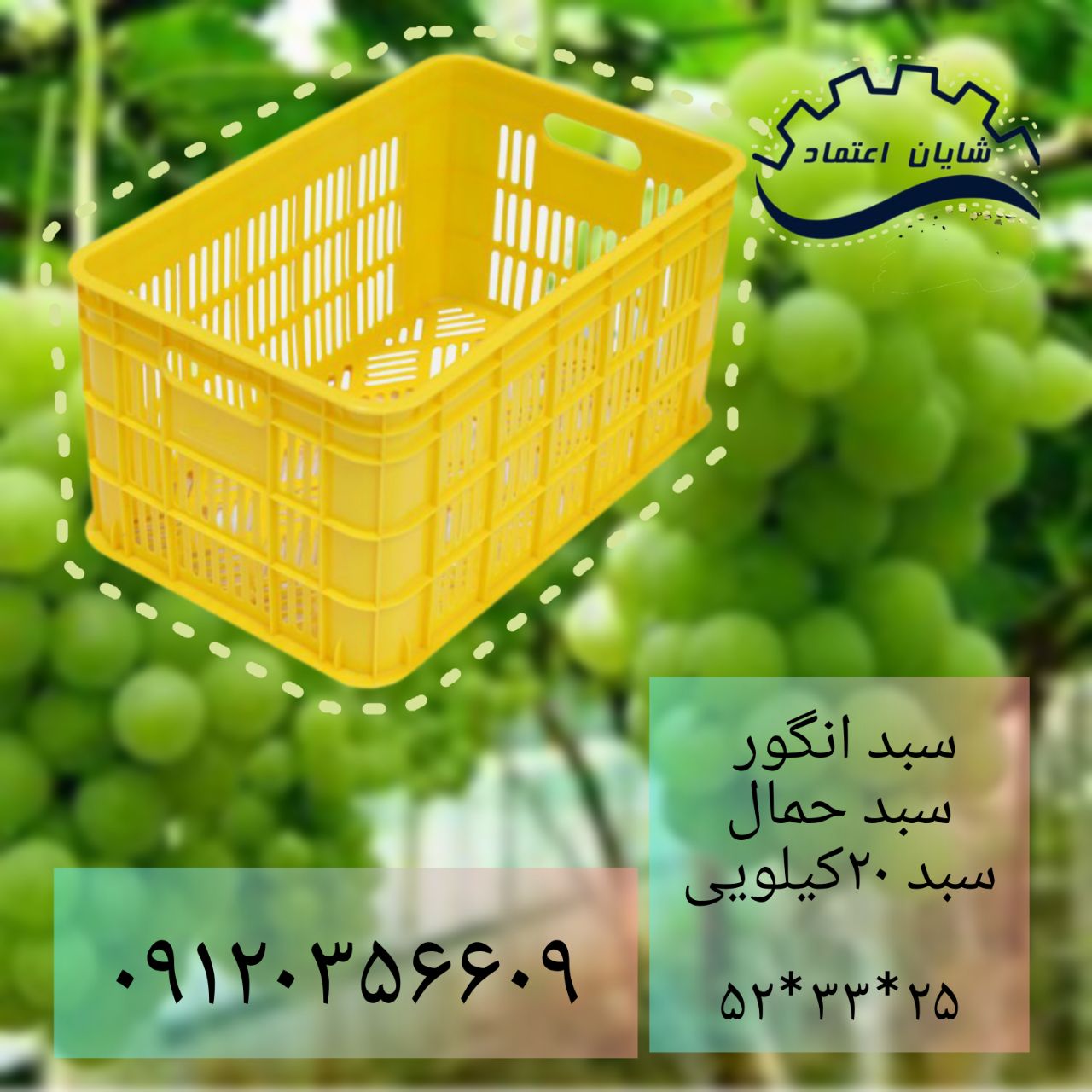 msg-10012867812-50 (4)