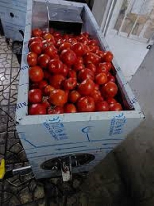 images (20)